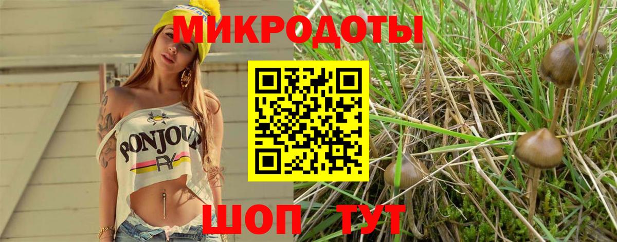Павловский Посад  Псилоцибиновые грибы мицелий  Вход с VPN  Галлюциногенные грибы Cubensis 